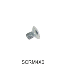 SCRM4X6 SCREW FOR LEVERLESS INSERTS X 10